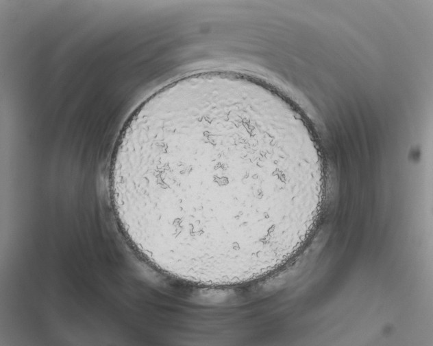 X0000116481513201001201331