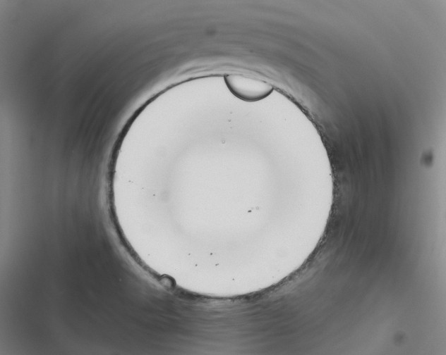 X0000116481518201001201331