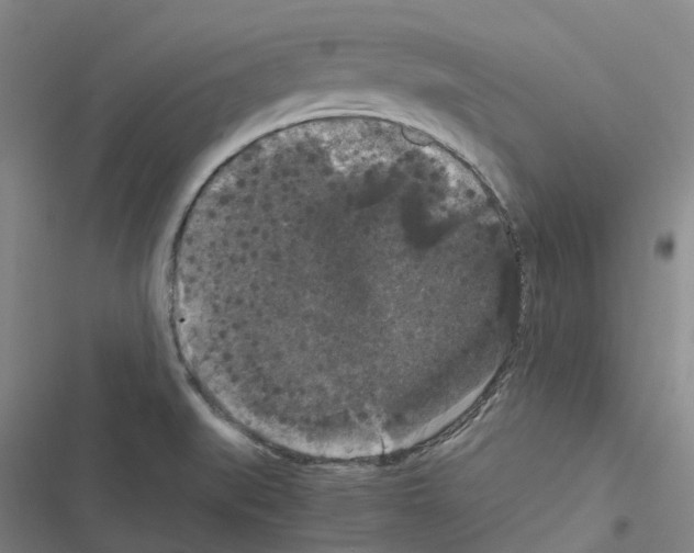 X0000116481519201001201331