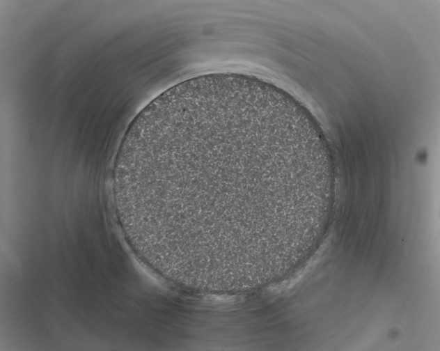 X0000116481521201001201331