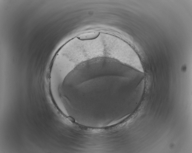 X0000116481522201001201331