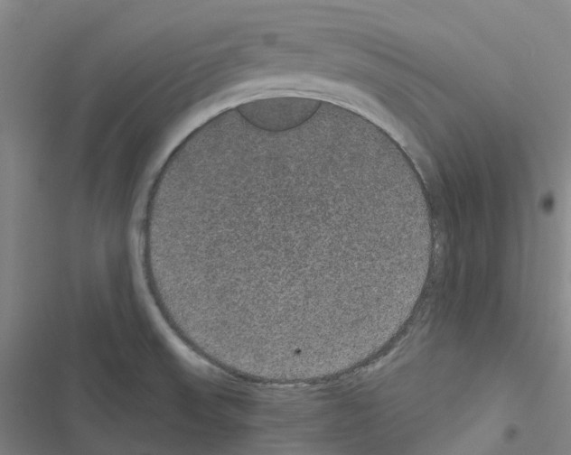 X0000116481523201001201331