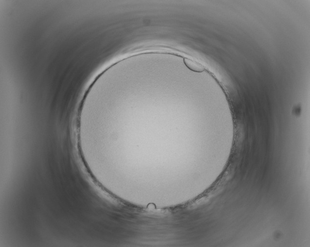 X0000116481526201001201332