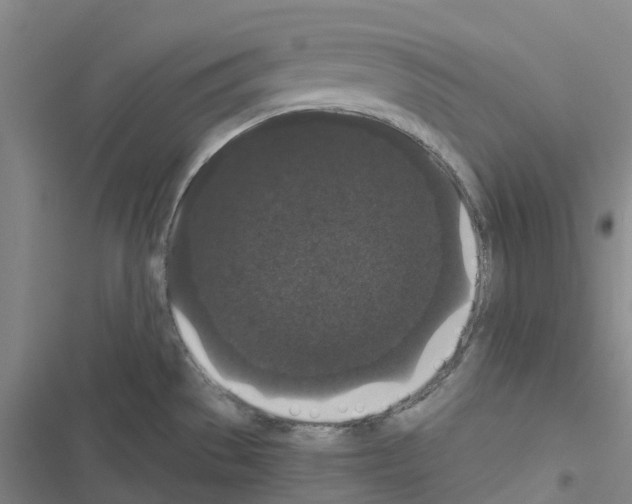 X0000116481529201001201332