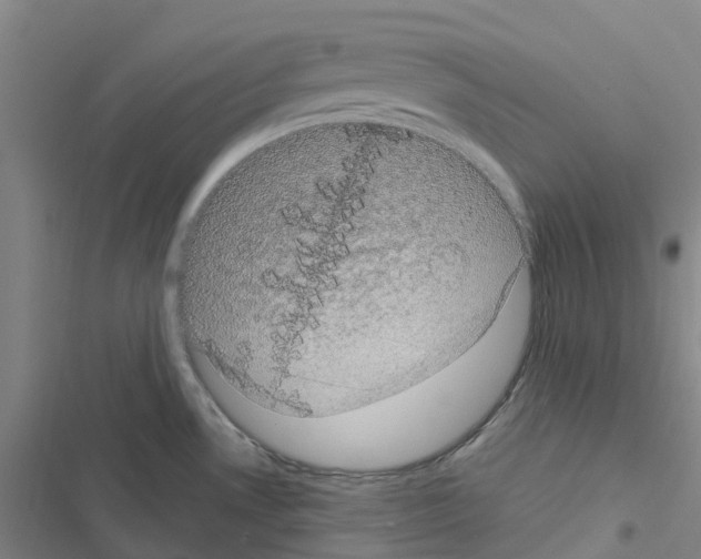 X0000116481530201001201332