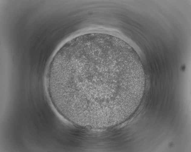 X0000116481531201001201332