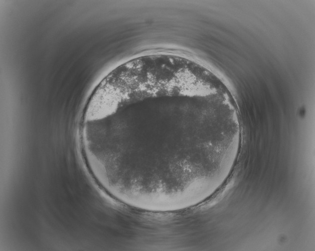 X0000116481533201001201332