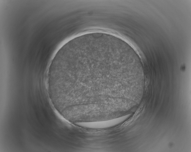 X0000116481535201001201332