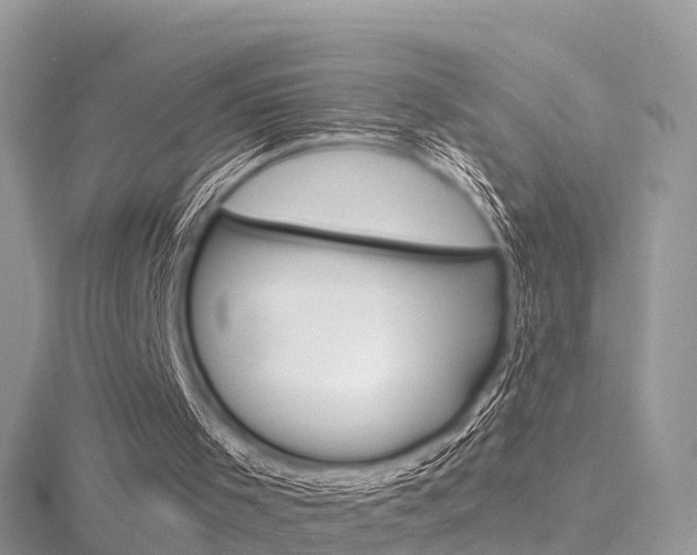 X0000116490001200912090957