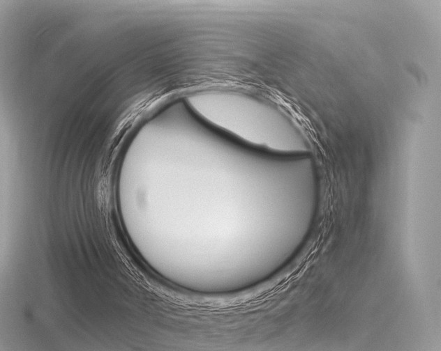 X0000116490002200912090957