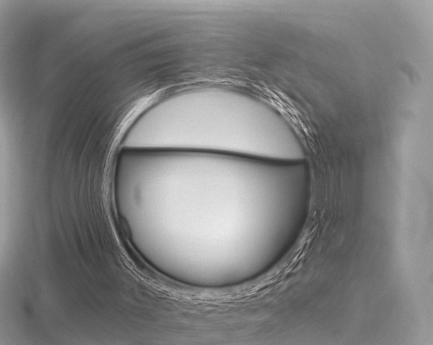 X0000116490003200912090957