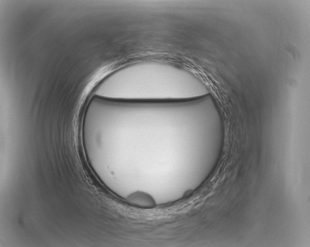 X0000116490006200912090957