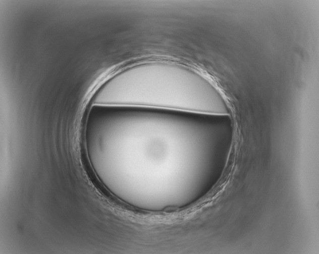 X0000116490007200912090957