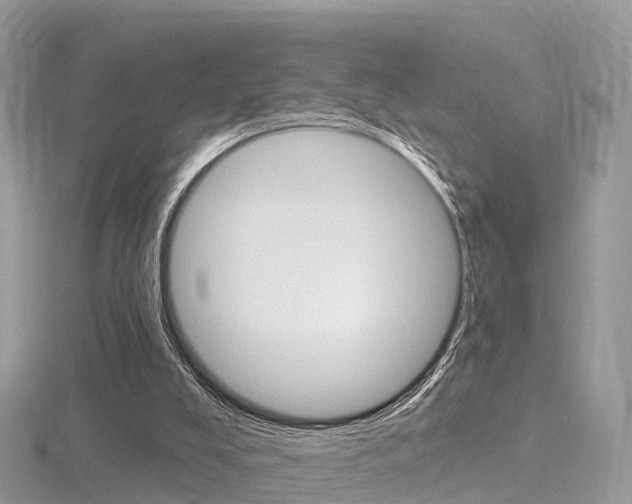 X0000116490008200912090957