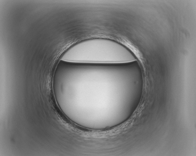 X0000116490009200912090957