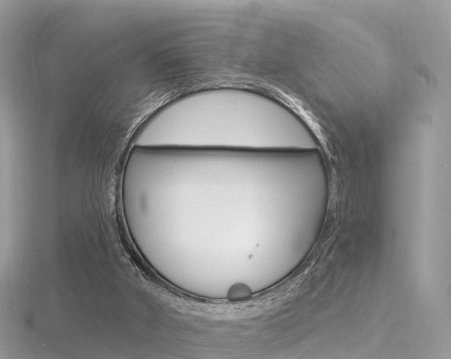 X0000116490010200912090957