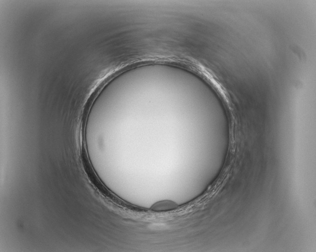 X0000116490011200912090957