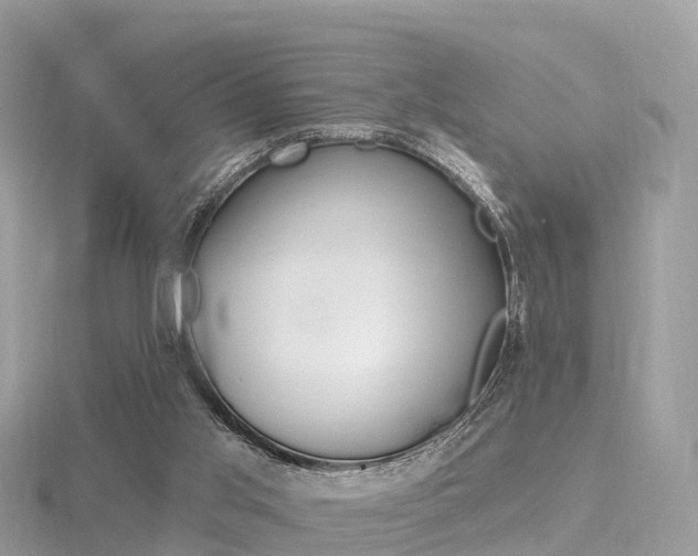 X0000116490013200912090957