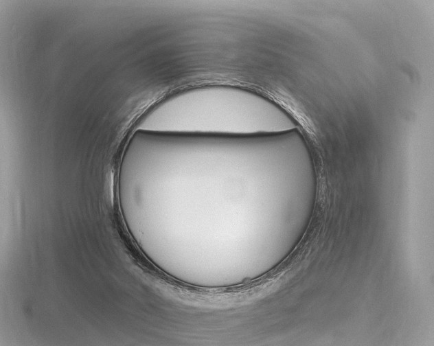 X0000116490014200912090957