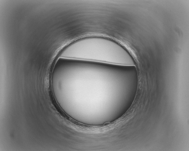 X0000116490015200912090957