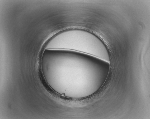 X0000116490016200912090957