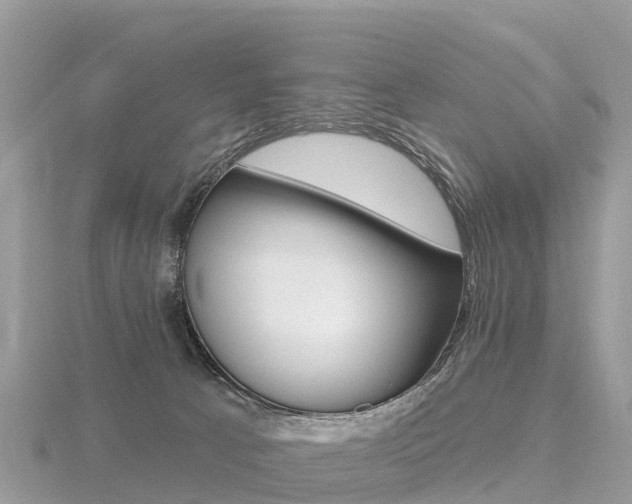 X0000116490033200912090956