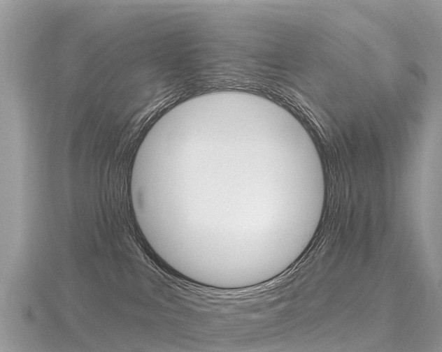 X0000116490043200912090956
