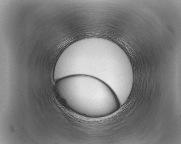 X0000116490047200912090956