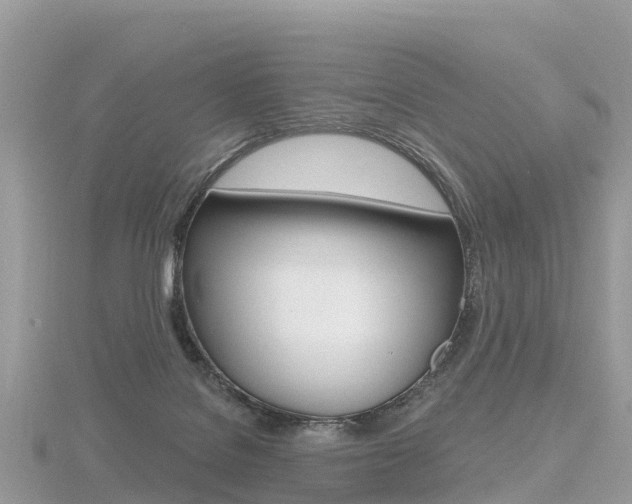 X0000116490076200912090956
