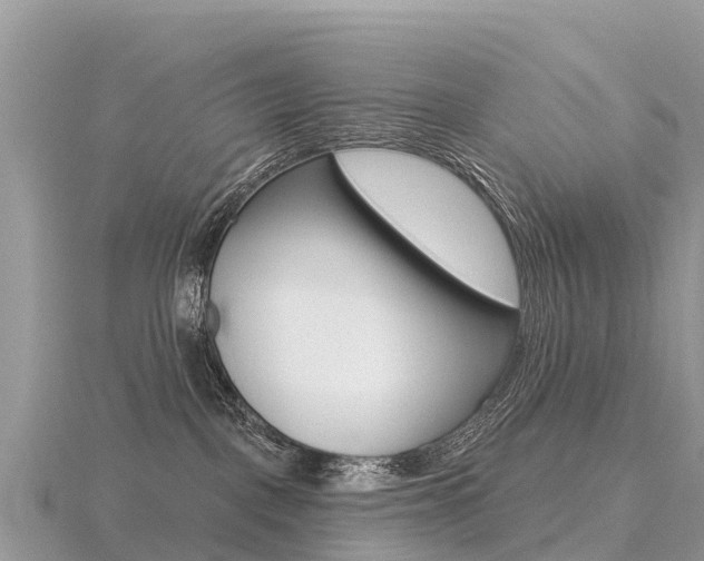 X0000116490093200912090956