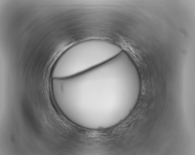 X0000116490098200912090955