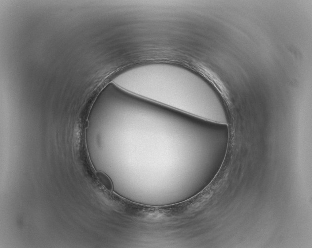 X0000116490113200912090955