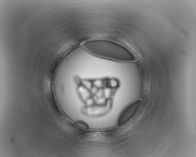 X0000116490117200912090955