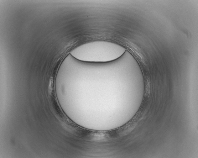 X0000116490118200912090955