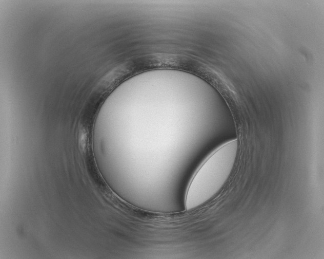 X0000116490123200912090955