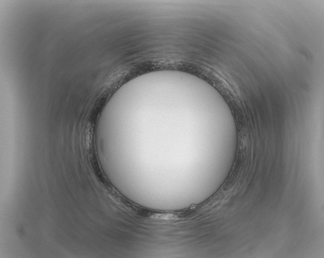 X0000116490133200912090955