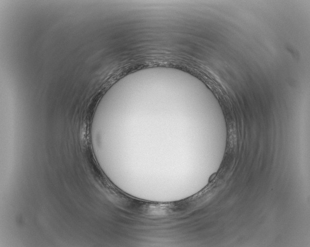 X0000116490134200912090955