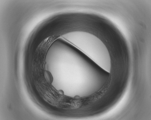 X0000116490143200912090955