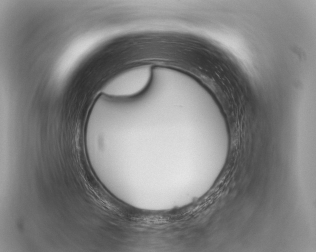 X0000116490146200912090954