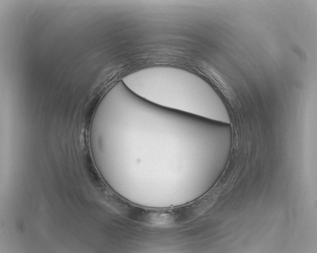 X0000116490169200912090955