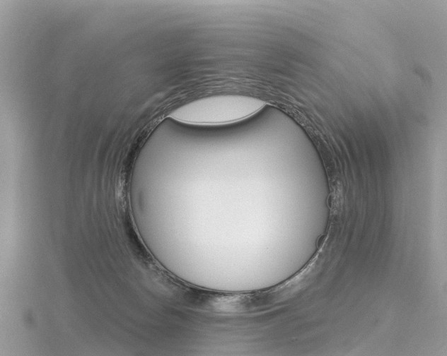 X0000116490178200912090955