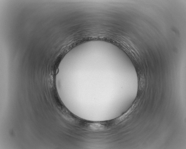 X0000116490183200912090955