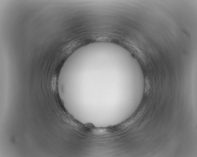 X0000116490189200912090955