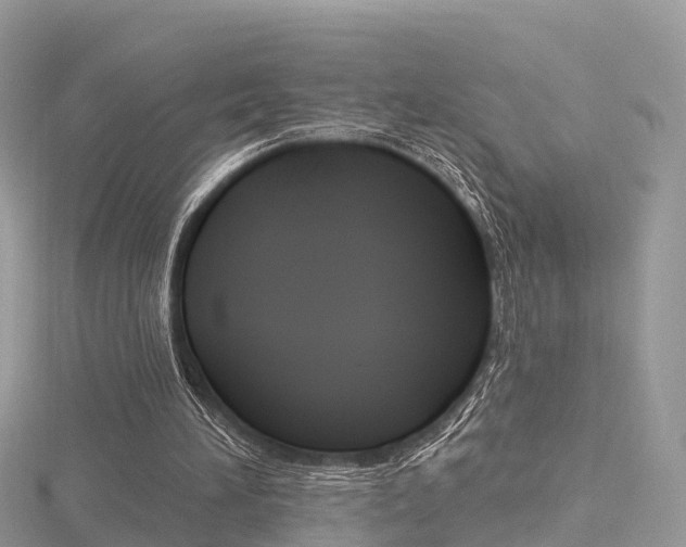 X0000116490196200912090954