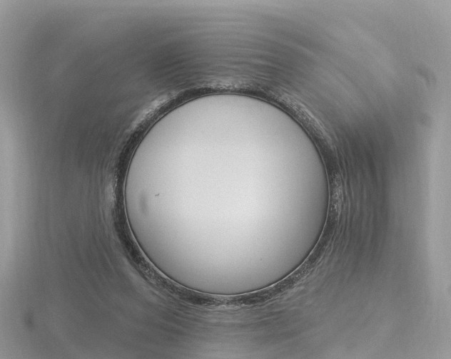 X0000116490208200912090954