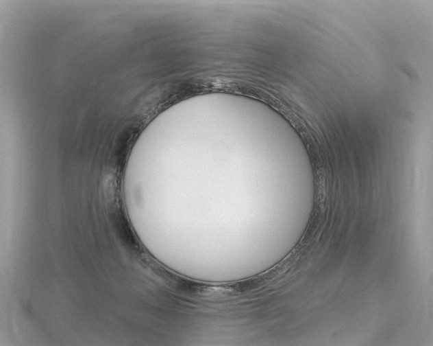 X0000116490222200912090954