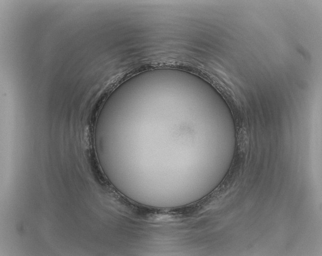 X0000116490224200912090954
