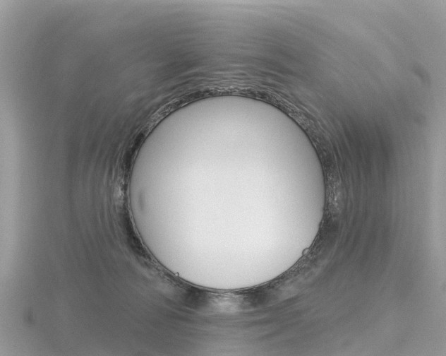 X0000116490226200912090954