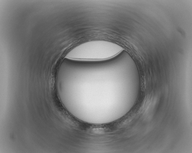 X0000116490228200912090954
