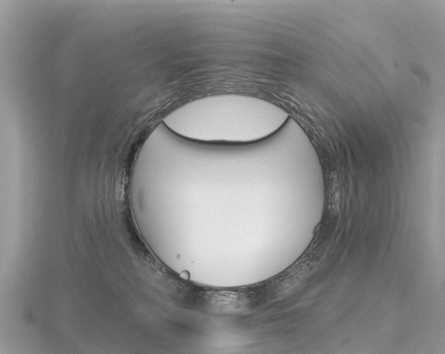 X0000116490230200912090954